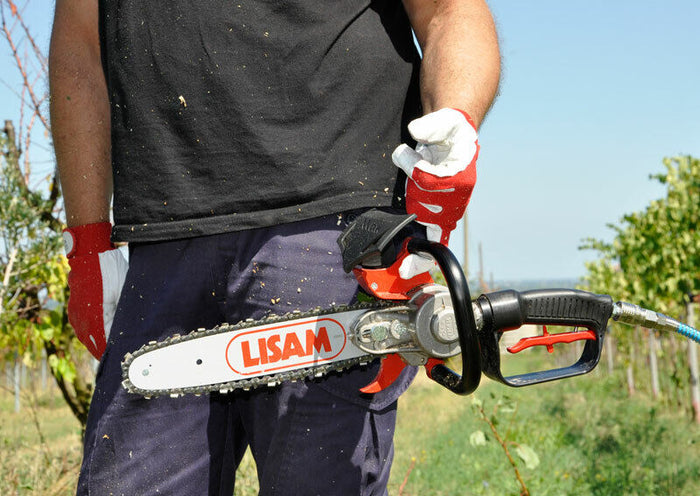 Seghetto pneumatico Lisam Sky-Man per potatura con barra a punta con impugnatura