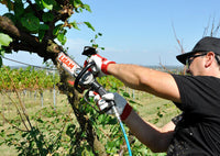 Seghetto pneumatico Lisam Sky-Man per potatura con barra a punta con impugnatura