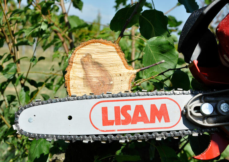 Seghetto pneumatico Lisam Sky-Man per potatura con barra a punta con impugnatura