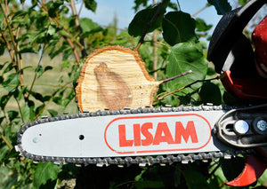 Seghetto pneumatico Lisam Sky-Man per potatura con barra a punta con impugnatura