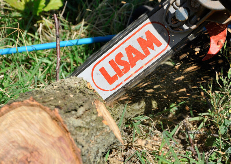 Seghetto pneumatico Lisam Sky-Man per potatura con barra a punta con impugnatura