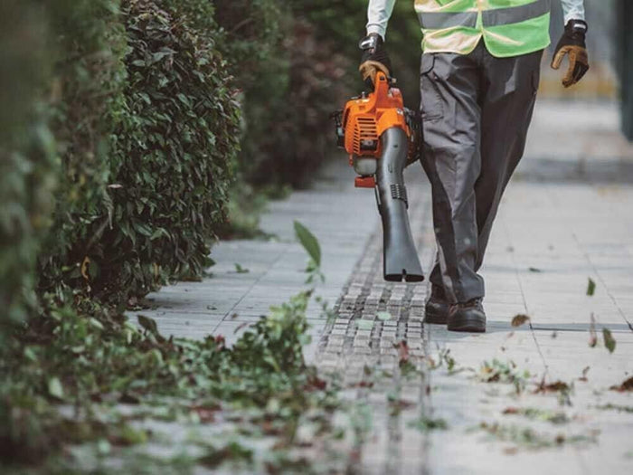 Soffiatore aspiratore a scoppio Echo ES-250ES trituratore motore Euro2