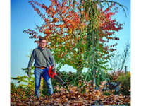 Soffiatore foglie a batteria GP-LB 36/210 Li E-Solo Einhell 816 mc/h 210 Km/h