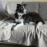Asciugamano impermeabile per cani \ Cappotto di lana per cani, asciugamano per gatti