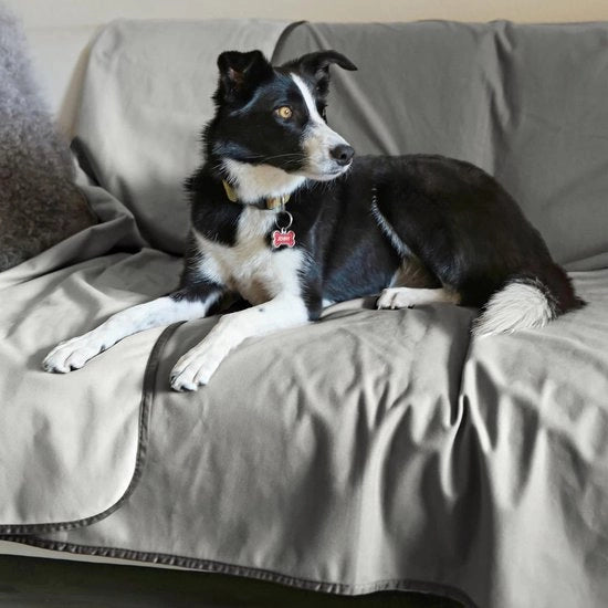 Asciugamano impermeabile per cani \ Cappotto di lana per cani, asciugamano per gatti