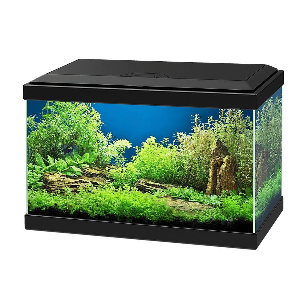 Ciano Acquario Aqua 20 LED cm40x20x25h Colore: Nero
