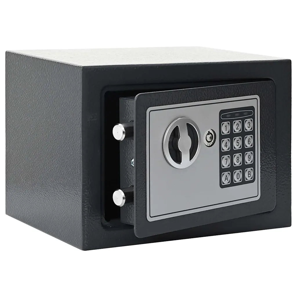 Cassetta di sicurezza digitale Grigio scuro 23 x 17 x 17 cm CFW5115413