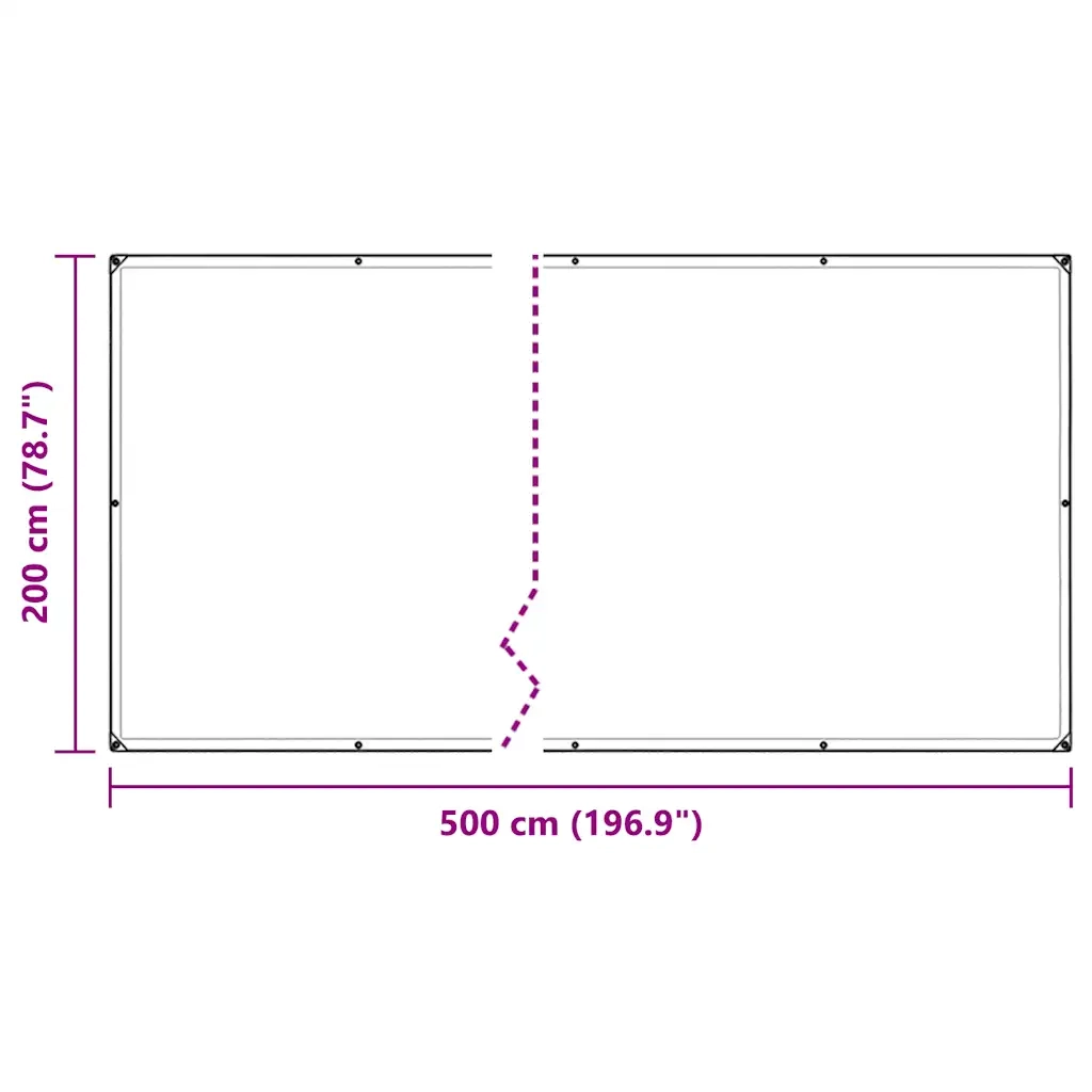 Telone Trasparente con Occhielli 2x5 m in Polietilene 4018506