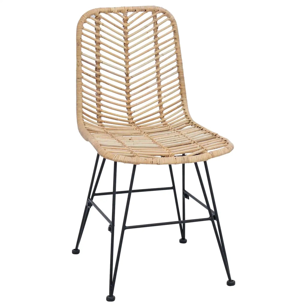 Sedia da pranzo 2 pcs Rattan e Ferro Naturale