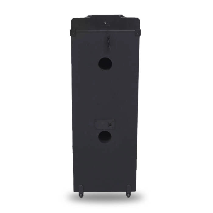 Cassa bluetooth portatile da festa 2000W PMPO, doppio altoparlante 12 pollici, karaoke con microfono wireless, luci LED multicolore - SOGO