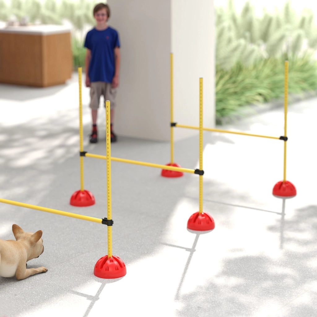 Set Agility per Cani 4 Pezzi con Ostacoli e Borsa ¨C Zephmum ¨C Giallo