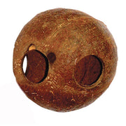 Lucky Reptile Coco Cave 10/15cm - noce di cocco forata per nascondigli