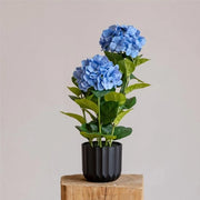 Hortensia Artificiale in Vaso - Pianta di Hortensia Reale per Decorazione Interna e Esterna, Ideale per Entrate e Decorazioni da Tavola (Blu)