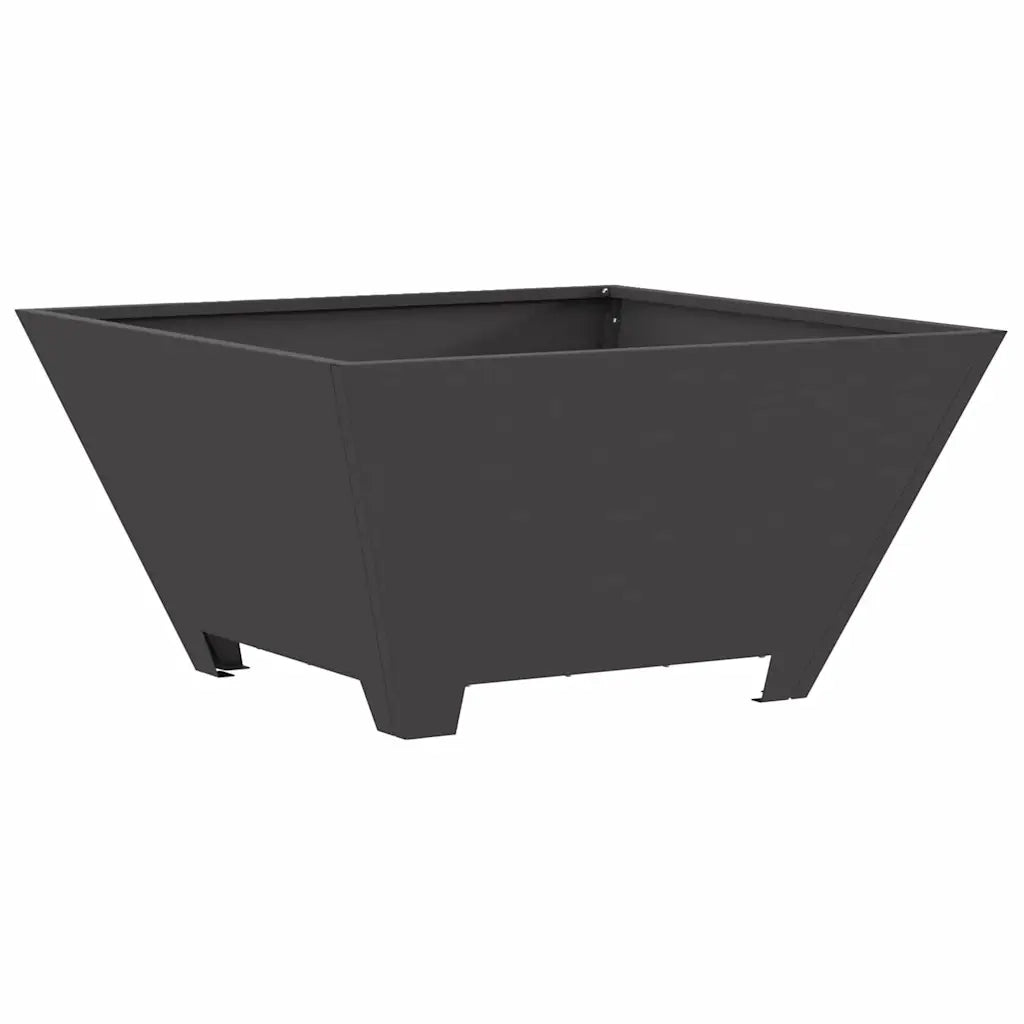 Focolare Nero 60 x 60 x 30 cm Acciaio CFW5602174