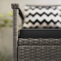 Panchina da Giardino da 2 Posti, Panca Portatrucchi 160L in Rattan PE con 2 Cuscini, 112 x 62 x 82 cm, Grigio