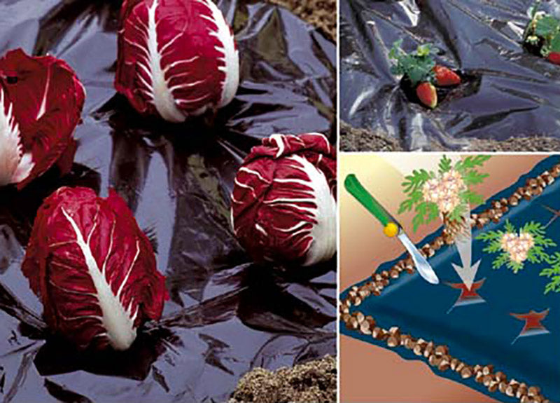 Telo Pacciamatura da Giardino in PE 1,5x10m Rama Nero