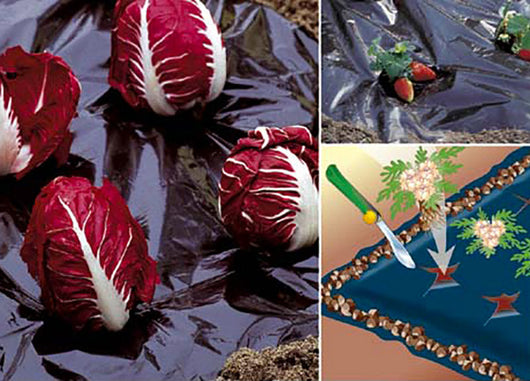 Telo Pacciamatura da Giardino in PE 1,5x10m Rama Nero