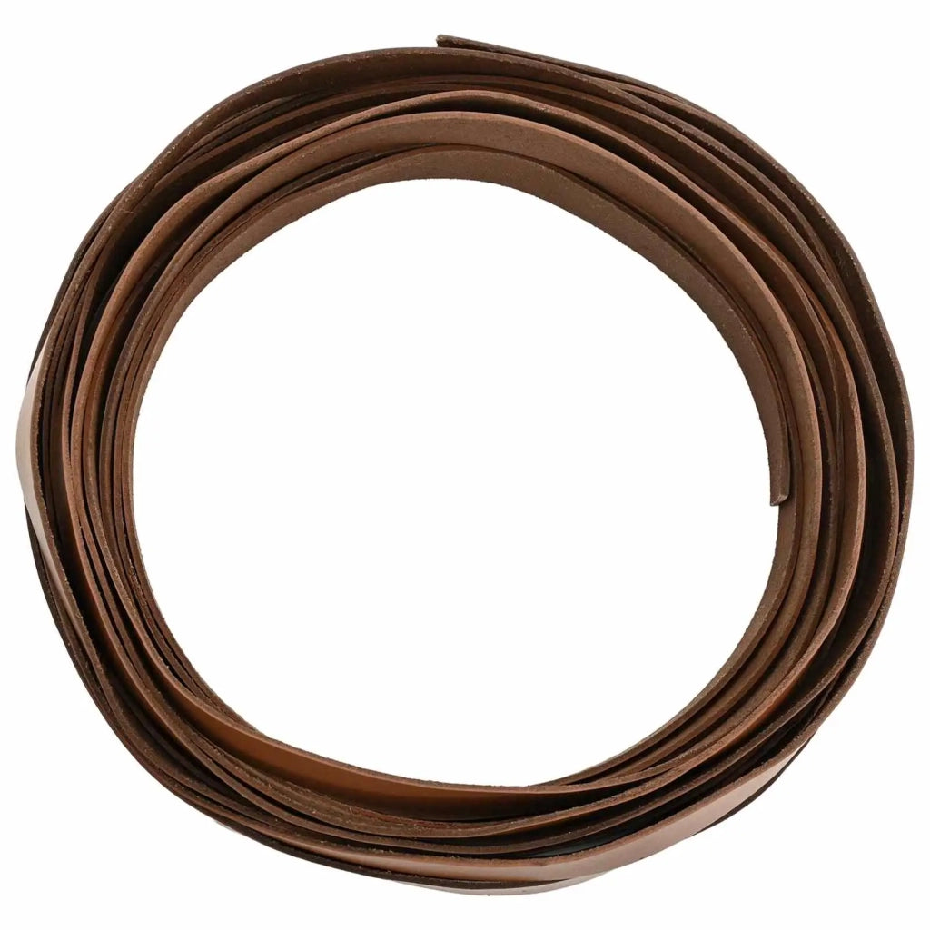 Cinturino in pelle Marrone 500 x 1,5 cm Pelle 42034218