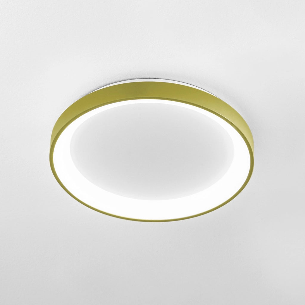 Krizia Lampada a Soffitto LED 50W, Finitura Verde Salvia, Dimmerabile CCT 3000K-4000K, Alluminio con Diffusore in Acrilico Opale - Gealuce