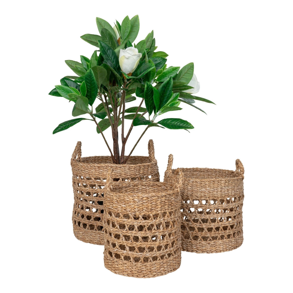 Set di 3 Cesti Portaoggetti Balok, Marrone, Erba Marina, 28x28x25 cm