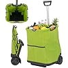Carrello spesa, Trolley per la spesa pieghevole 50 L con Tasche, Ruote e Manomobile Telescopica, Borsa con Ruote, 35 kg