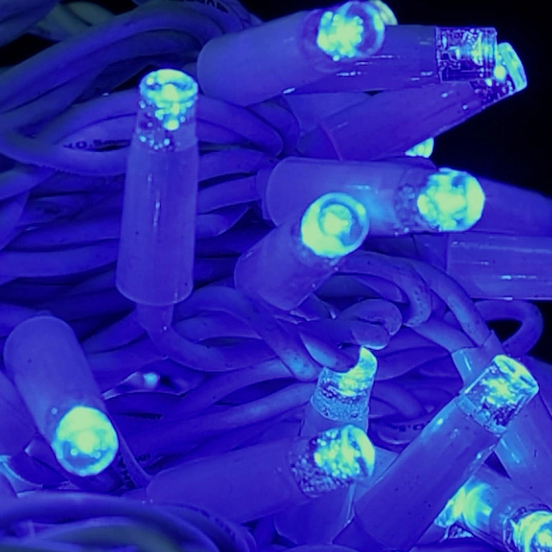 CATENA LUMINOSA NATALIZIA 30 METRI CON 300 MAXI-LED LUCI BLU FISSE E BIANCHE FLASH - EFFETTO CIELO STELLATO IDEALE PER DECORAZIONI ESTERNE