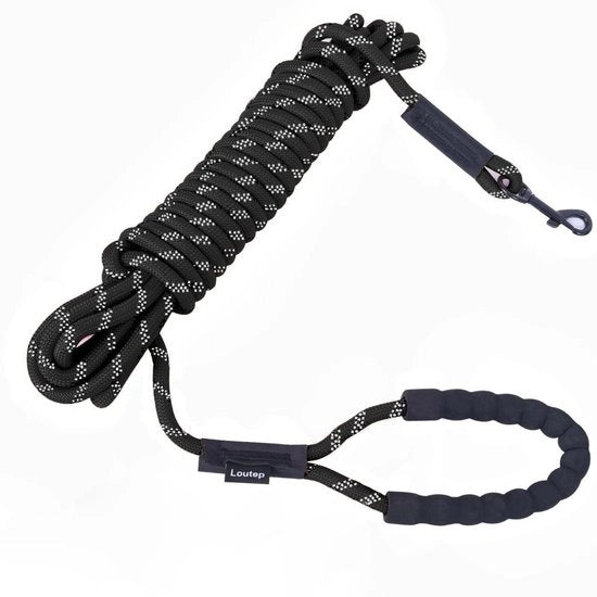 Linea di allenamento 3/5/10/15/20/25/30 metro - Cintura per cani - Nylon duraturo - Manico morbido - Grappolo 360 gradi girante - Ideale per l'allenamento - Linea per cani