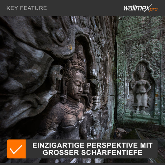 Walimex Pro 8 mm 1:3.8 VDSLR Fish-Eye II Lens Photo and Video (paraluce rimovibile, IF, ghiera ingranaggi, apertura e messa a fuoco stepless) per obiettivo Canon EF-S baionetta nera