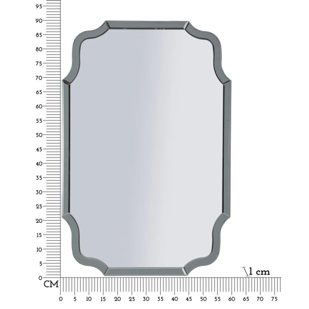 Specchio con Cornice Classico 9, Grigio, MDF, 90x60x1 cm