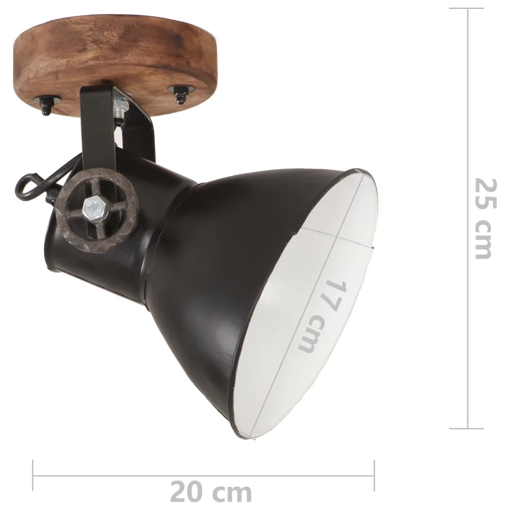 Lampade da Parete/Soffitto 2 pz Industriale Nere 20x25 cm E27 CFW6227910