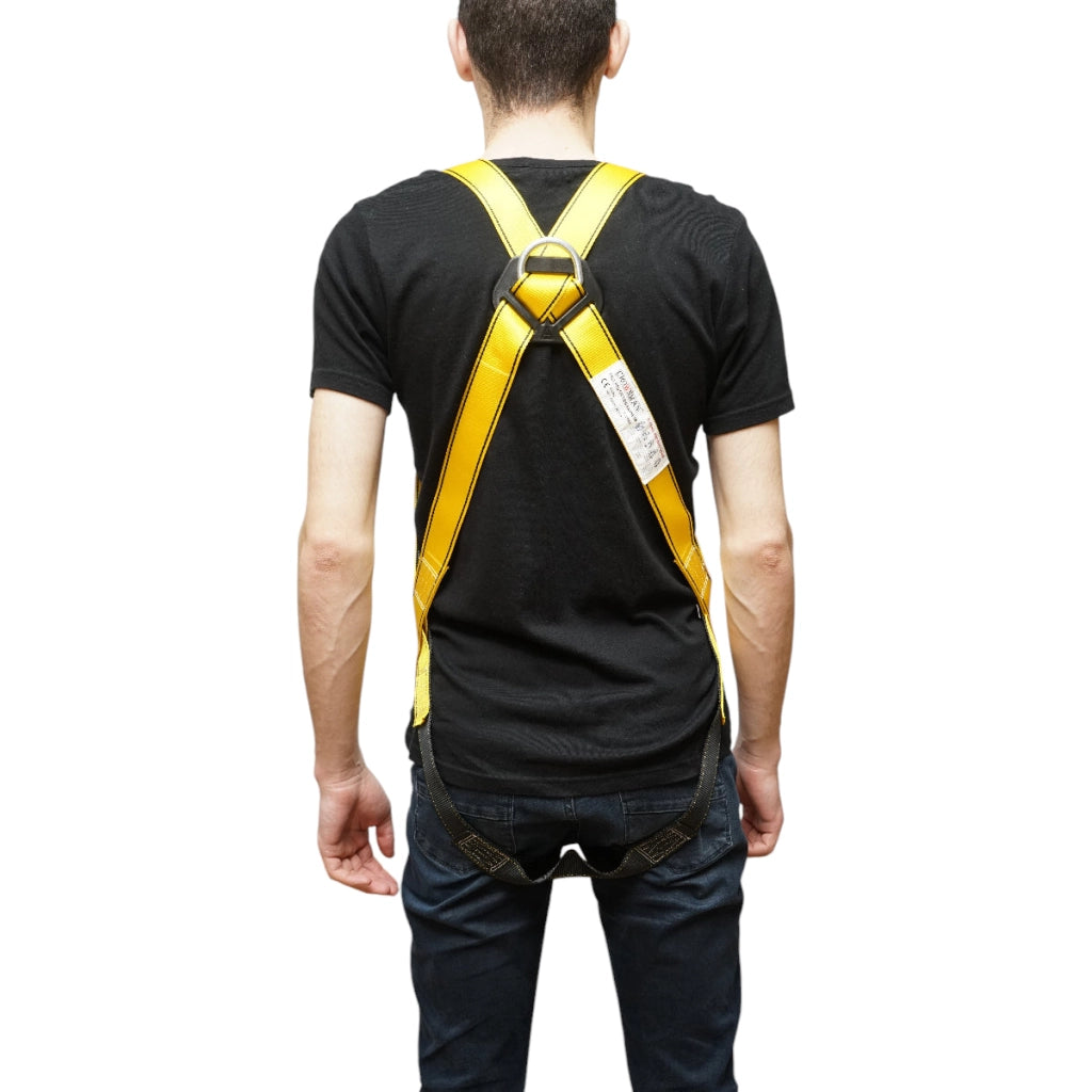 Cintura di sicurezza tipo imbracatura regolabile in 3 punti, larghezza cintura 45 mm, resistenza massima 2000 kg Crownman