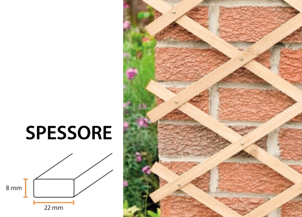 Traliccio Estensibile In Legno Per Piante Rampicanti Recinzione Giardino Balcone - 100x200 - Naturale