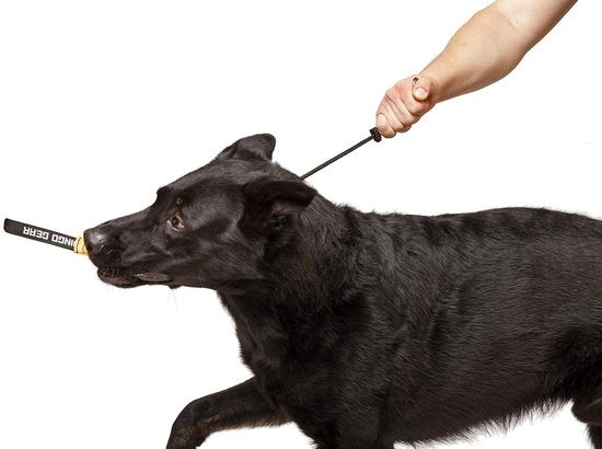 Collare di allenamento per cani (con cinture di fissaggio), nero, 55 cm