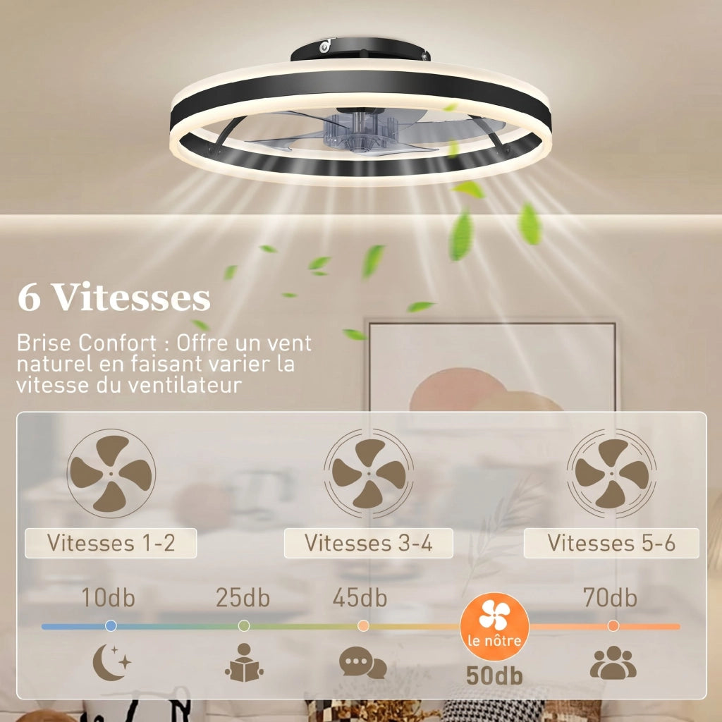 Ventilatore a Soffitto con Luce e Telecomando ¨C Zephmum ¨C Nero 50 cm