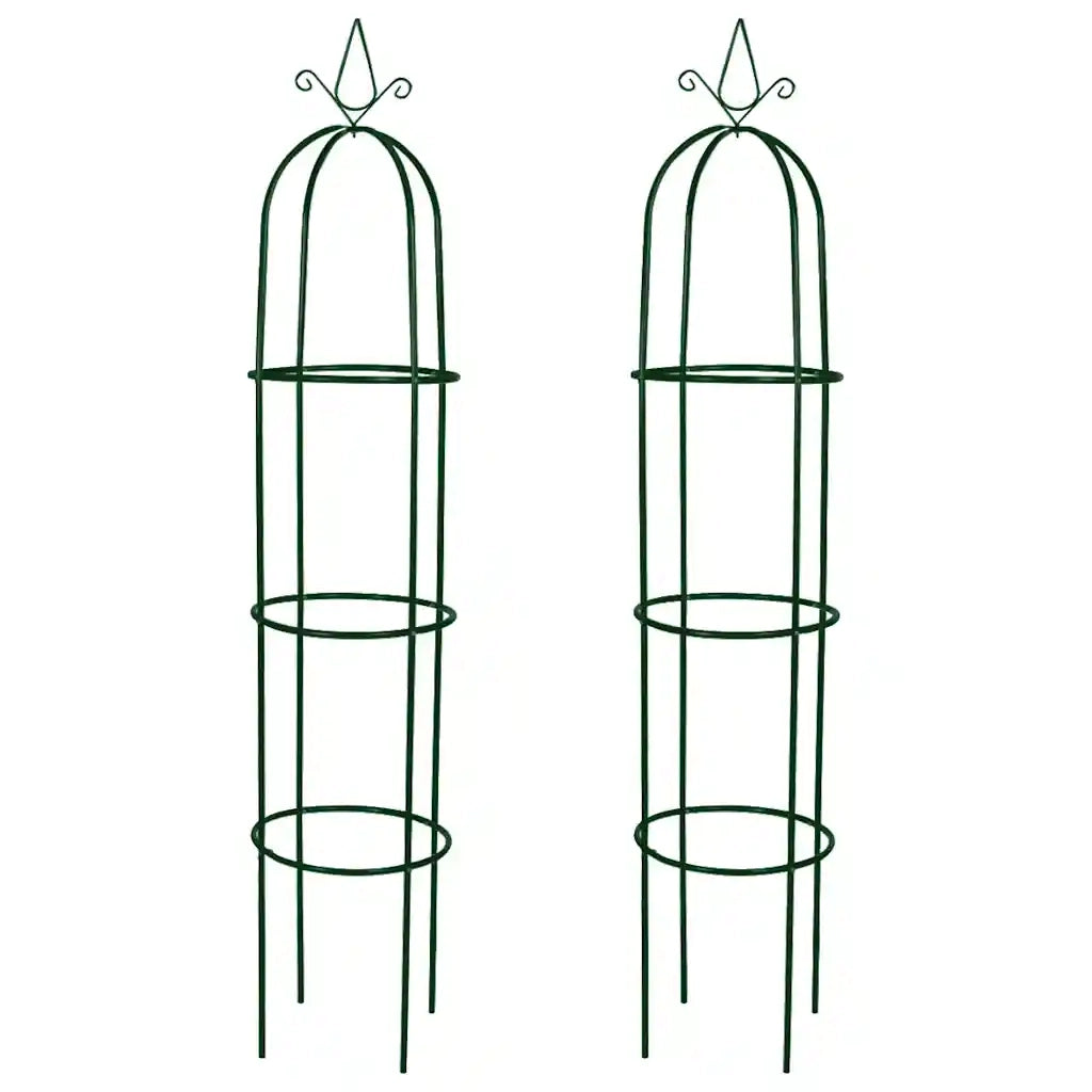 Set Torri ad Arco 2 pz per Piante Rampicanti da Giardino