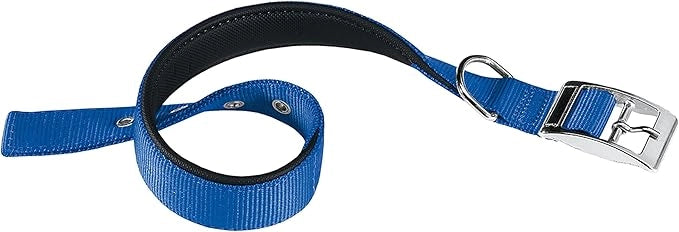 COLLARE PER CANI 'DAYTONA C' 25 mm x 45÷53 cm - colore blu - FERPLAST