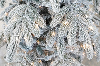 Albero di Natale Artificiale Innevato 240 cm 55 Rami con 450 LED Faggete del Gargano Verde