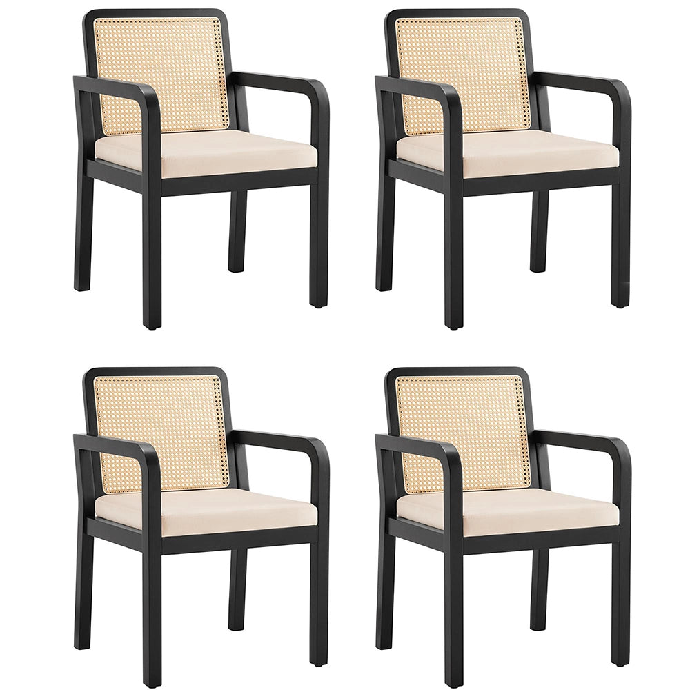 Tessuto velluto alta qualit¨¤ - Xylo - 4 pezzi sedia da pranzo ergonomica lussuosa