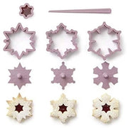 Set di stampi per biscotti a forma di fiocco di neve 3 pezzi, resistente al lavastoviglie, inclusa forma mini stella e spazzola per pulizia, ideale per biscotti a punta di spillo, biscotti a stella di cannella, biscotti di Natale