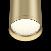 Plafoniera Ceiling & Wall in Metallo FOCUS S Opaco Oro