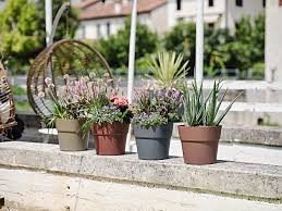 Teraplast astra orione 19 oversea