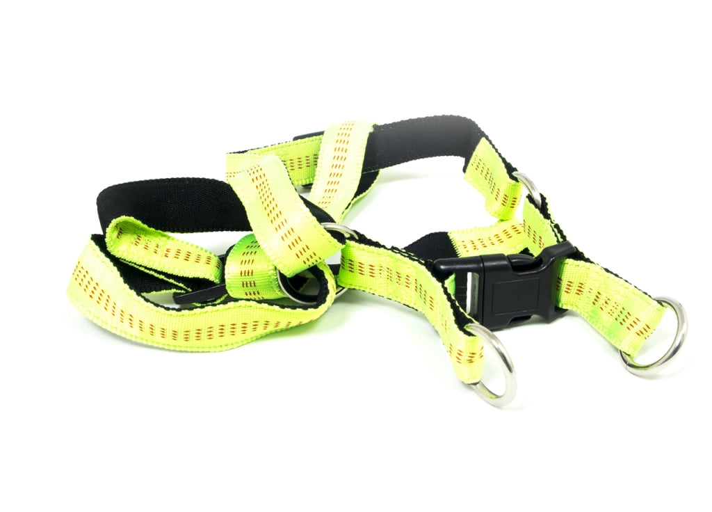 Pettorina Per Cani Regolabile E Resistente Modello Color Doggy - S - Verde Fluo