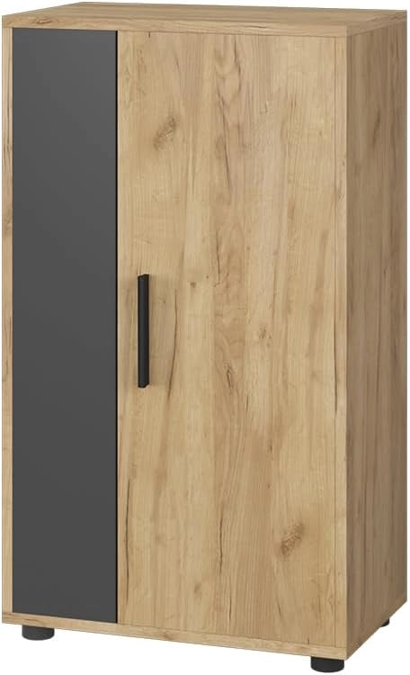 Cassettiera Berno, Quercia dorata/antracite, 50.1 x 87.3 cm con 2 scomparti, adatto per riporre oggetti di vario tipo