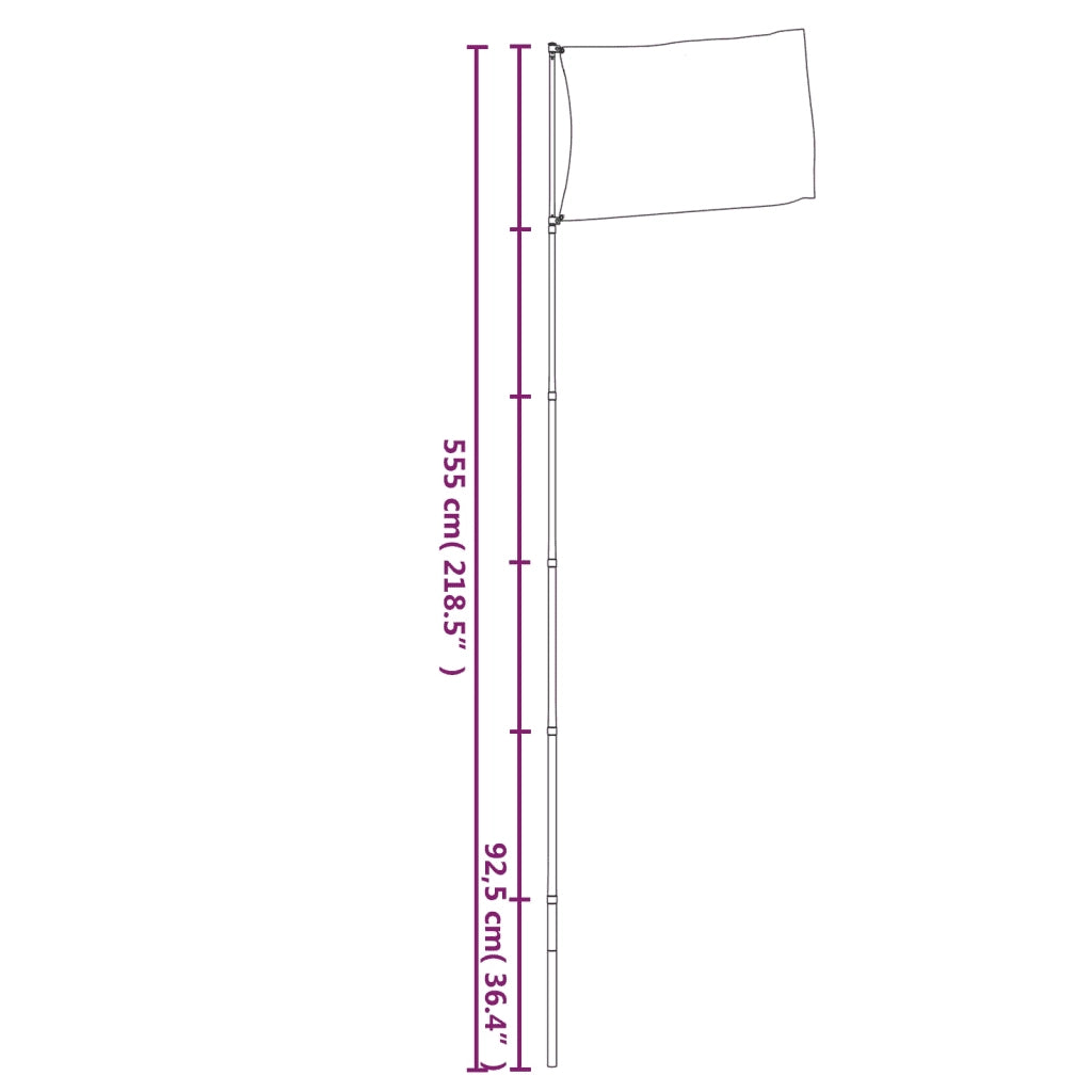 Asta e Bandiera Ucraina 5,55 m Alluminio CFW7711895