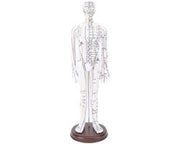 Modello di Acupressione Uomo/Donna - Modello di Punti di Pressione/Meridiani - Modello di Punti di Acupressione del Corpo - Modello di Pratica di Acupressione - Definizione Alta Risoluzione - Posizionamento Preciso