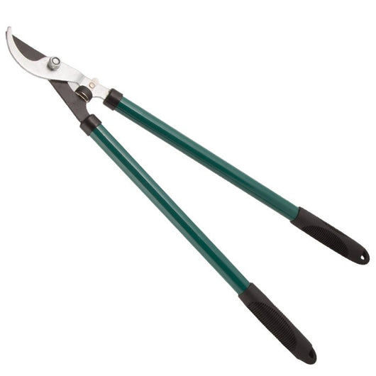 Forbici Potatura Forgiata - Biacchi Ettore