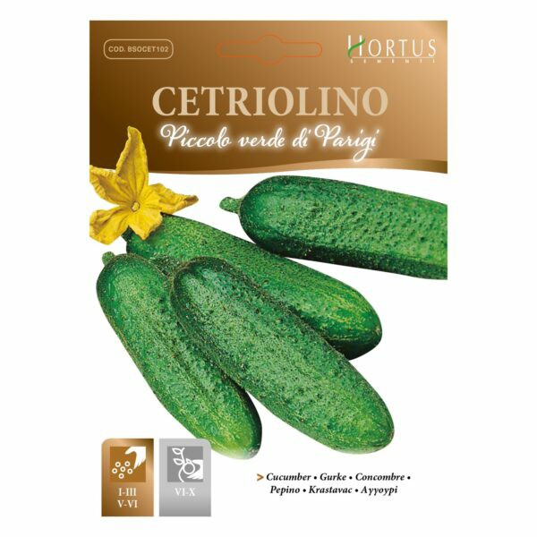 Cetriolino Piccolo Verde Di Parigi Set 5 Pezzi - Magnani Sementi