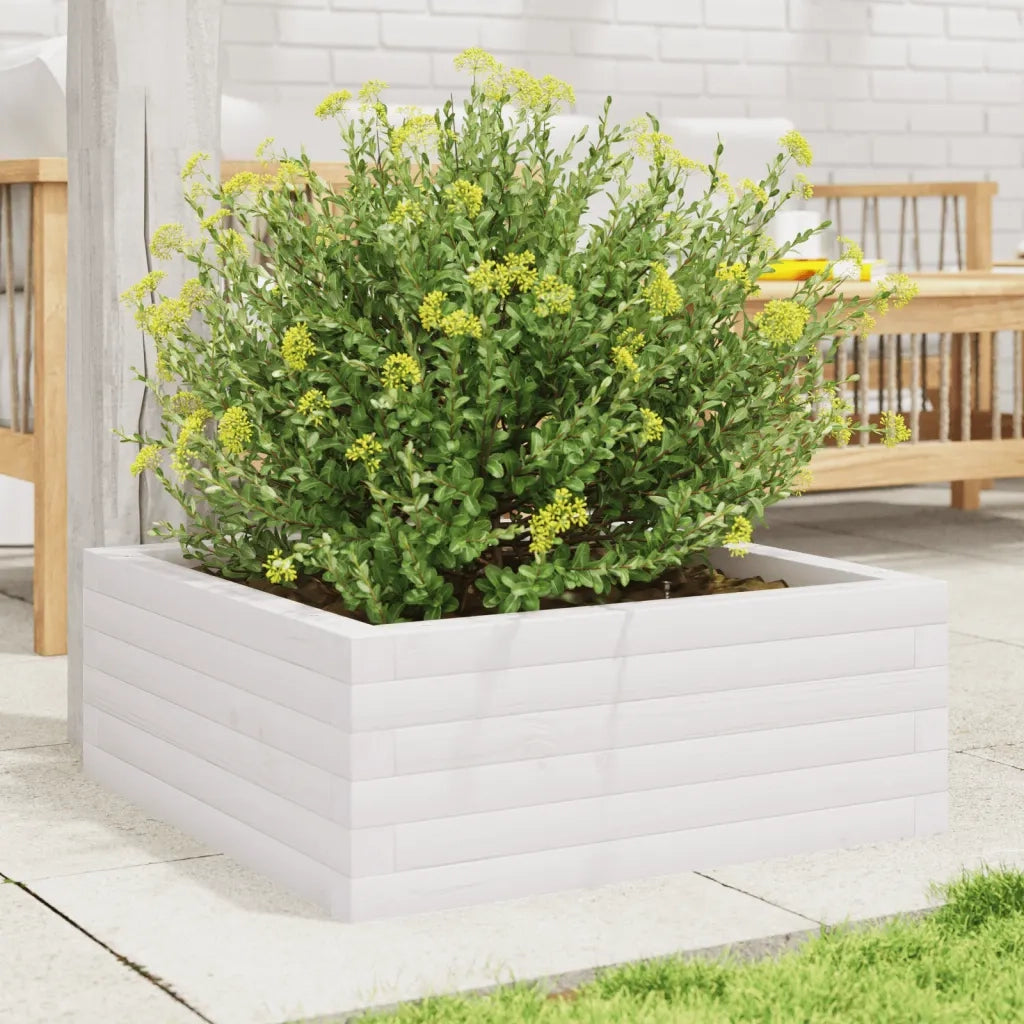 Fioriera da Giardino-Vaso da Esterno Bianca 60x60x23 cm Legno Massello di Pino