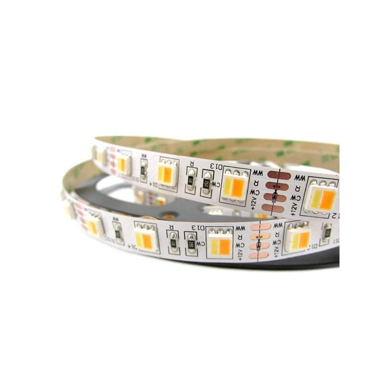 Bobina Striscia Striscia Strip Led CCT 300 SMD 5050 WWR 12V Bianco Caldo Neutro Freddo Tutto In Uno Da 2700K A 10000K 5 Metri IP20
