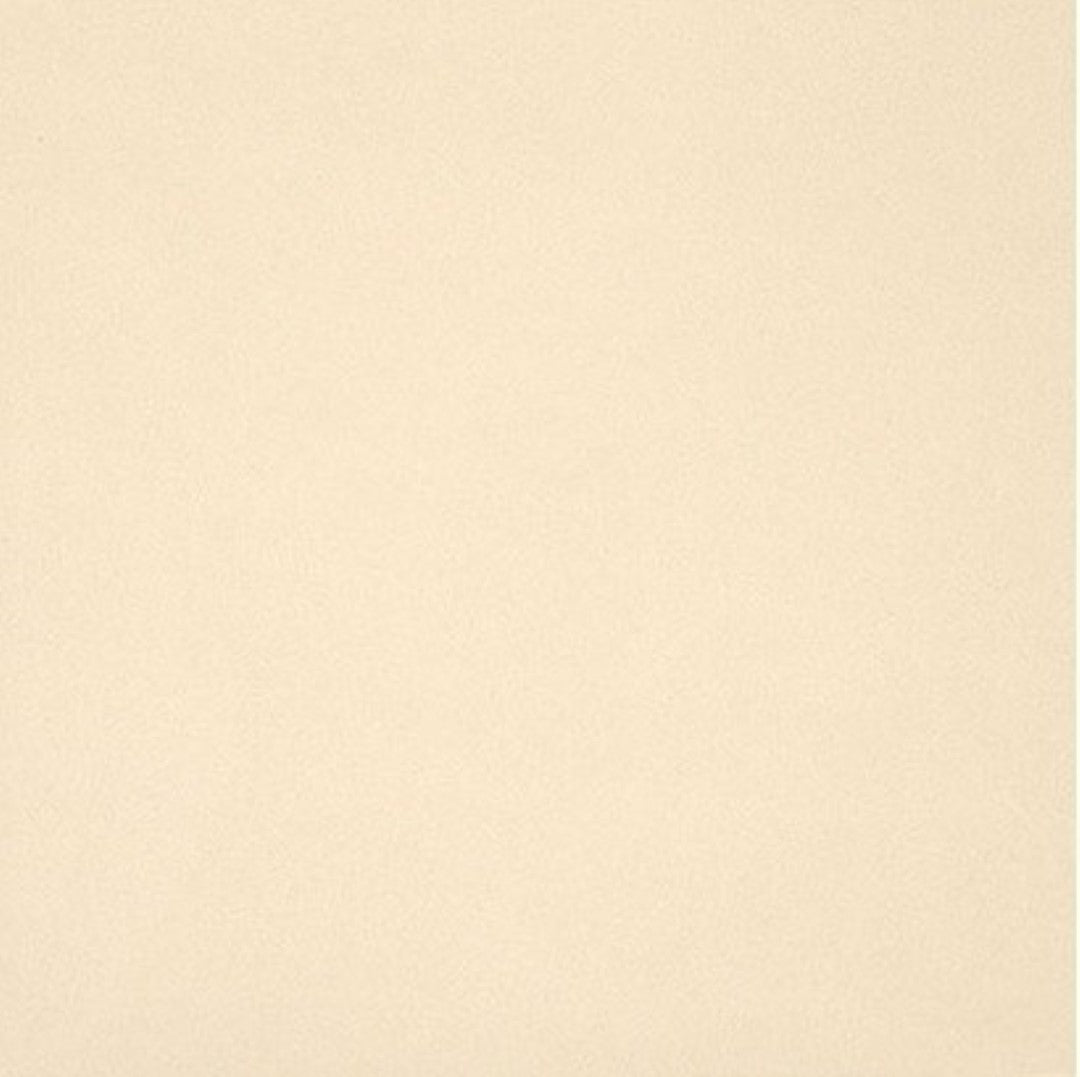 Gres Porcellanato Unicolore Bianco A11/12 Mm 20X20 11/1 0,88 Mq - Casalgrande